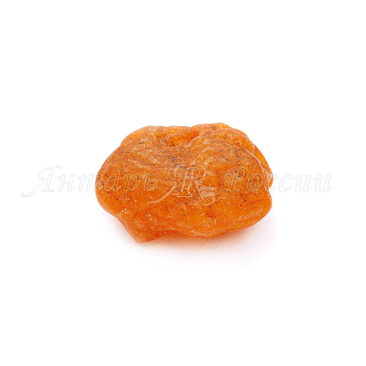 6420005_10 6420005_10