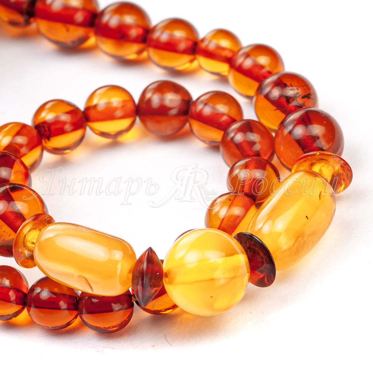 551015458005_3 551015458005_3