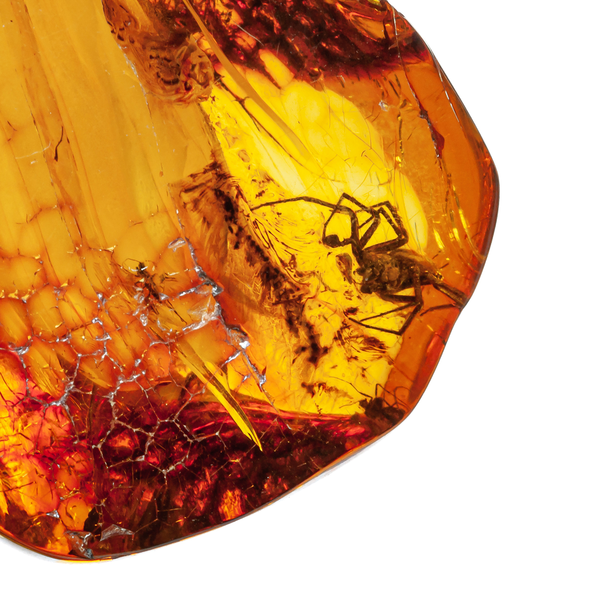 Инклюз Янтарь Инклюз Янтарь