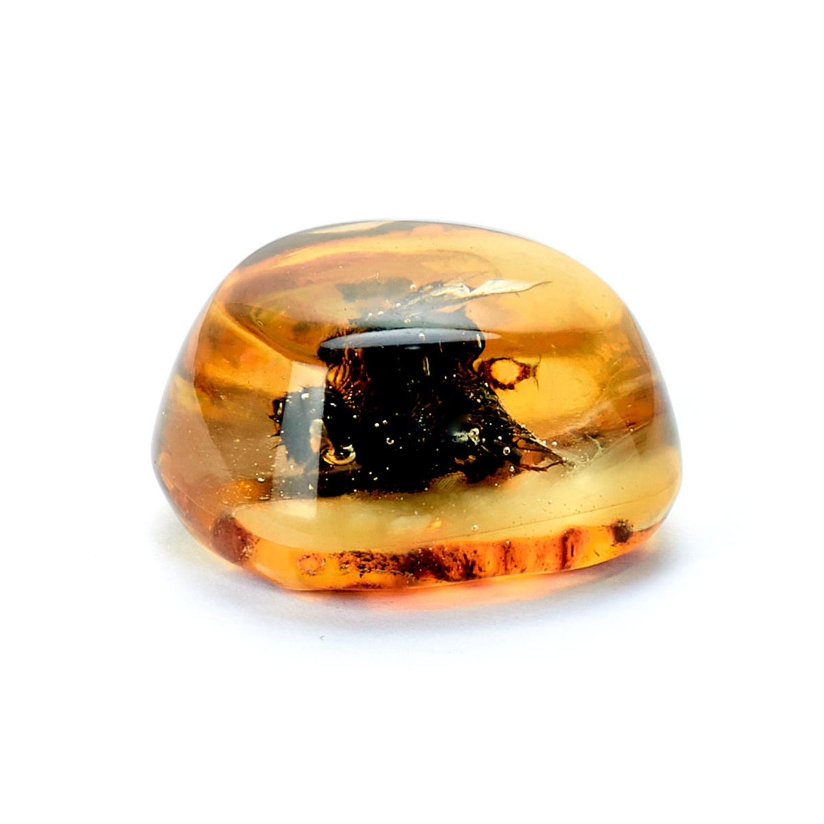 610122292_2 копия