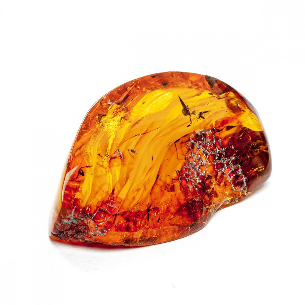 Инклюз Янтарь Инклюз Янтарь