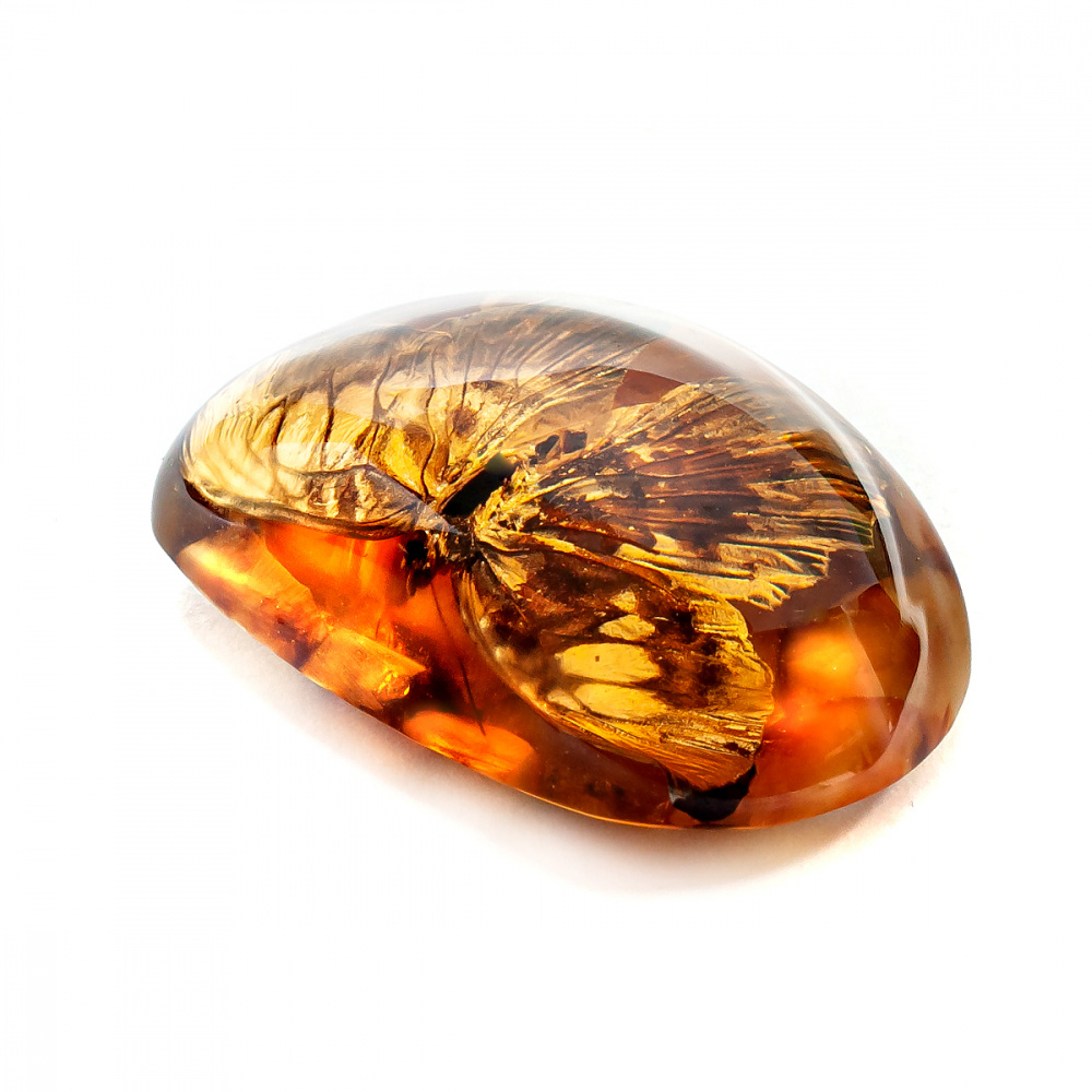 611282172_2 611282172_2